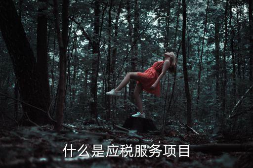 什么事納稅服務(wù)，什么是應(yīng)稅服務(wù)項(xiàng)目