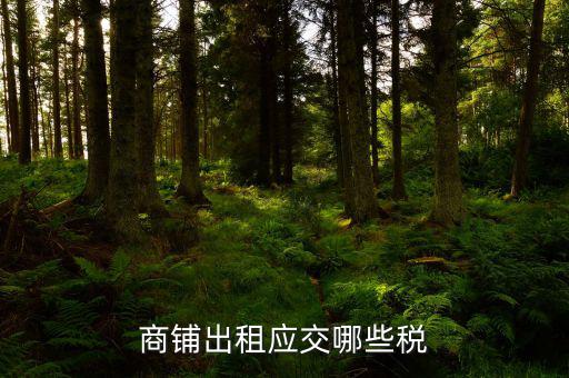 門面租賃稅是什么，商鋪出租應(yīng)交哪些稅