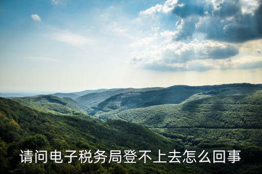 貴州省電子稅務局為什么進不去，請問電子稅務局登不上去怎么回事
