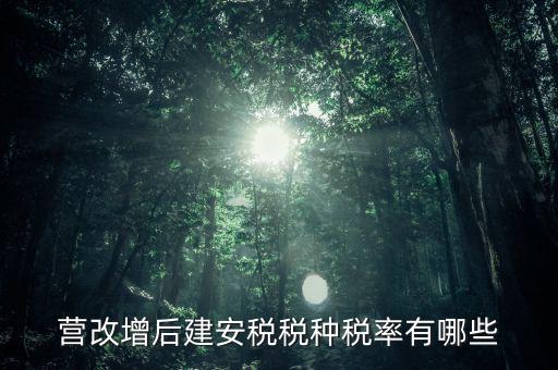 營改增后建安稅稅種稅率有哪些
