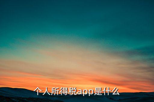 網(wǎng)上交稅要下載什么東西，個(gè)人所得稅官網(wǎng)登錄企業(yè)個(gè)人所得稅要下載什么端口申報(bào)