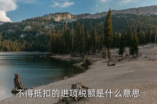 不得抵扣進(jìn)項(xiàng)稅額是什么意思，當(dāng)月不得抵扣的進(jìn)項(xiàng)稅額是什么
