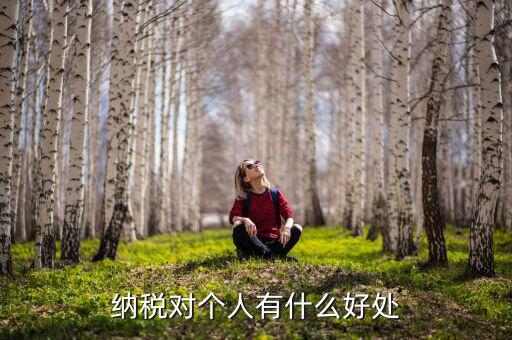 納稅對(duì)個(gè)人有什么好處