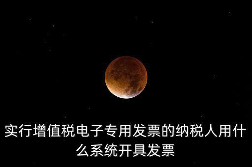 實行增值稅電子專用發(fā)票的納稅人用什么系統開具發(fā)票