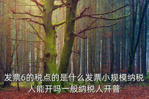 發(fā)票6的稅點的是什么發(fā)票小規(guī)模納稅人能開嗎一般納稅人開普
