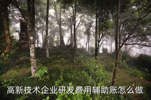 研發(fā)支出輔助賬是什么時候填，什么企業(yè)需要填 研發(fā)支出輔助賬匯總表