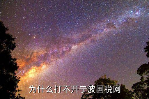 寧波國稅app為什么登陸不上，為什么打不開寧波國稅網(wǎng)