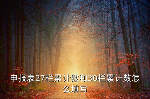 什么是期初未繳稅額，申報表27欄累計數(shù)和30欄累計數(shù)怎么填寫