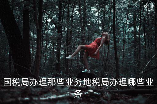 地稅辦理什么業(yè)務，國稅局辦理那些業(yè)務地稅局辦理哪些業(yè)務