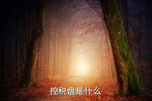稅控盤是什么，稅控發(fā)票開票軟件 和金稅盤是什么意思