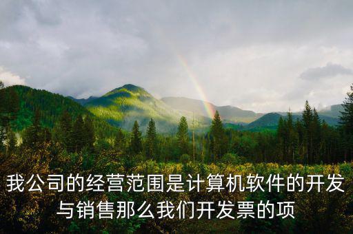 我公司的經(jīng)營(yíng)范圍是計(jì)算機(jī)軟件的開(kāi)發(fā)與銷售那么我們開(kāi)發(fā)票的項(xiàng)