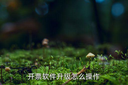 發(fā)票升級最新版本是什么原因，稅務(wù)升版是什么意思