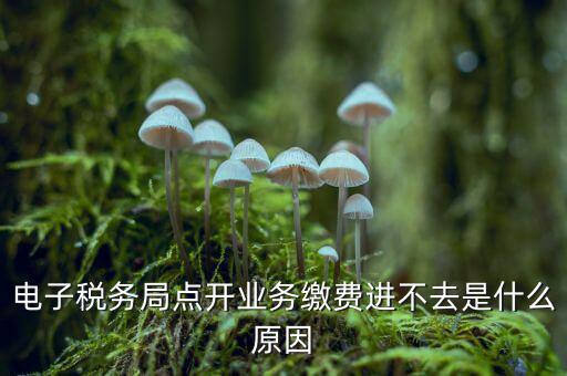 為什么江蘇省電子稅務(wù)局進(jìn)不去，請(qǐng)問(wèn)電子稅務(wù)局登不上去怎么回事