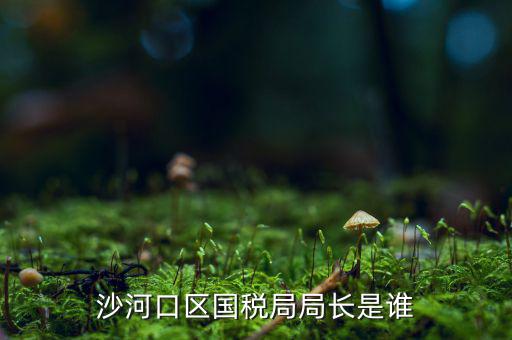 沙河口區(qū)國(guó)稅局局長(zhǎng)是誰