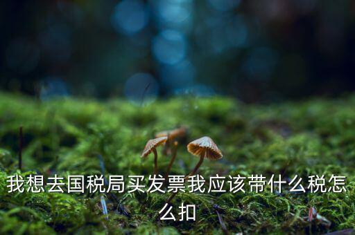 去國稅局扣稅需帶什么，我想去國稅局買發(fā)票我應(yīng)該帶什么稅怎么扣