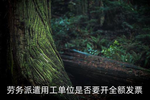 勞務(wù)派遣開什么票，勞務(wù)派遣小時工發(fā)票怎么開