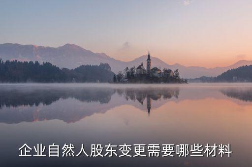 變更自然人登記業(yè)務(wù)需要帶什么，企業(yè)自然人股東變更需要哪些材料