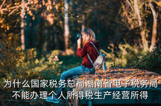 電子稅務局里面為什么沒有個稅，個人所得稅查不到怎么回事