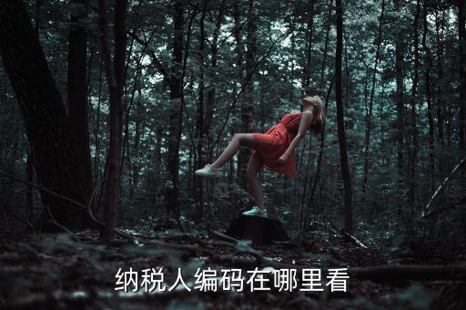 地稅稅源編號是什么，建筑業(yè)地稅稅源編號指的是啥