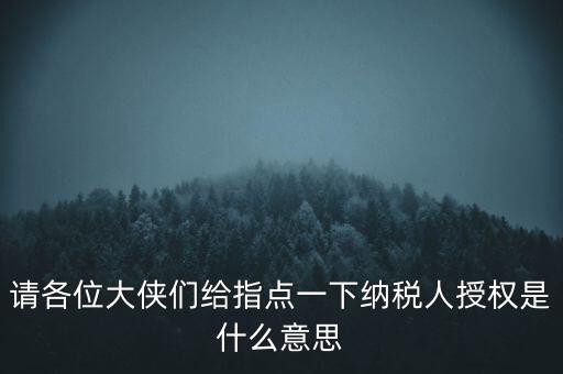 納稅人獲得感是什么意思，請(qǐng)各位大俠們給指點(diǎn)一下納稅人授權(quán)是什么意思