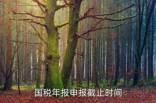 新疆國(guó)稅申報(bào)11月的什么時(shí)候結(jié)束，國(guó)稅年報(bào)申報(bào)截止時(shí)間