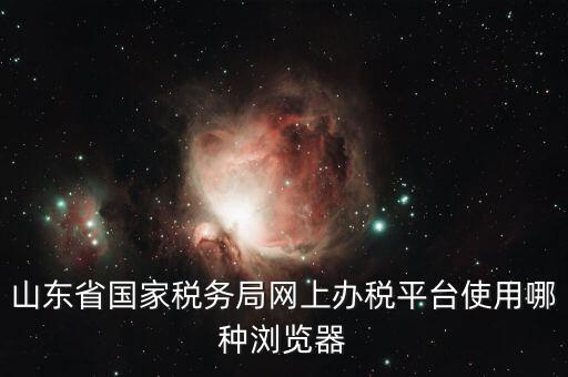山東省國家稅務局網(wǎng)上辦稅平臺使用哪種瀏覽器