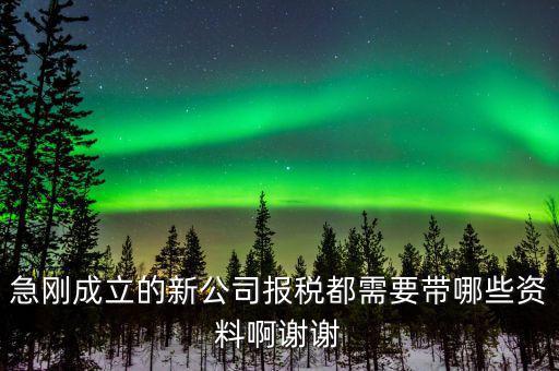 報(bào)稅要帶什么資料，增值稅報(bào)稅都要準(zhǔn)備哪些資料