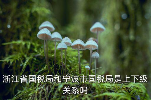 浙江省國(guó)稅局和寧波市國(guó)稅局是上下級(jí)關(guān)系嗎