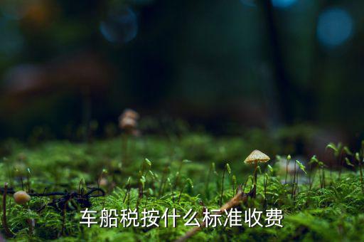 車(chē)船稅按什么標(biāo)準(zhǔn)收費(fèi)