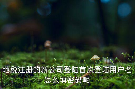 河北省地稅注冊用戶名是什么，稅務(wù)用戶名是什么啊