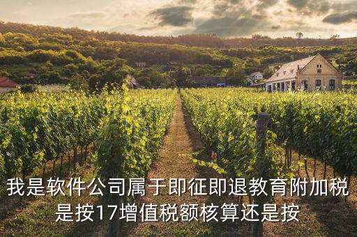 軟件企業(yè)交什么稅，軟件企業(yè)增值稅即征即退指的是什么
