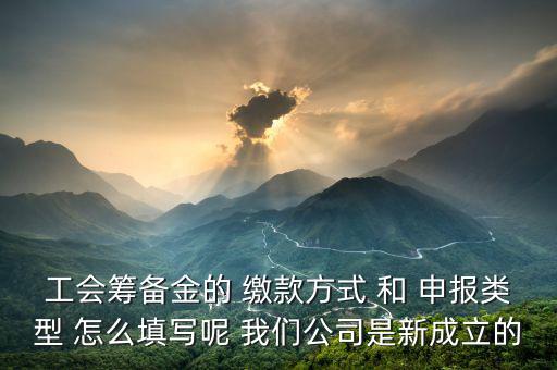工會(huì)籌備金的 繳款方式 和 申報(bào)類(lèi)型 怎么填寫(xiě)呢 我們公司是新成立的