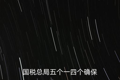 稅務(wù)局五個(gè)一是什么時(shí)候，國稅總局五個(gè)一四個(gè)確保