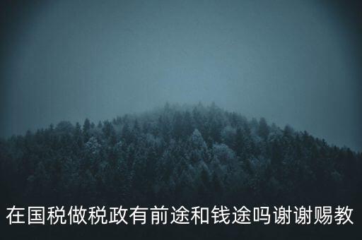 稅政處管什么，稅務局里的稅政科和征管科都有哪些功能