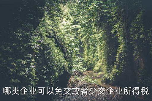 什么情況下企業(yè)可以減免稅收，哪類企業(yè)可以免交或者少交企業(yè)所得稅