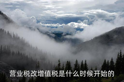 營(yíng)改增是什么時(shí)候開(kāi)始的，我國(guó)全面推開(kāi)營(yíng)改增是哪一年
