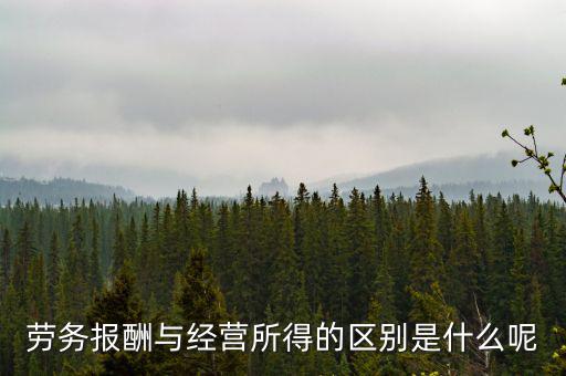 什么是經(jīng)營(yíng)所得，個(gè)體工商戶的生產(chǎn)經(jīng)營(yíng)所得是指什么