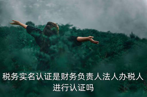 稅務(wù)實(shí)名認(rèn)證是財務(wù)負(fù)責(zé)人法人辦稅人進(jìn)行認(rèn)證嗎