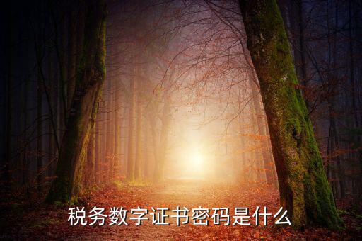 湖北地稅ca登錄密碼是什么意思，地稅CA證書如何解密碼