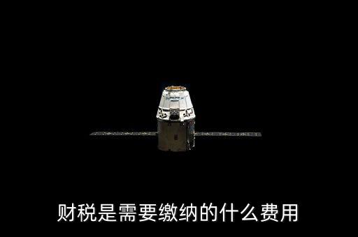 財稅費(fèi)是什么，財稅是需要繳納的什么費(fèi)用