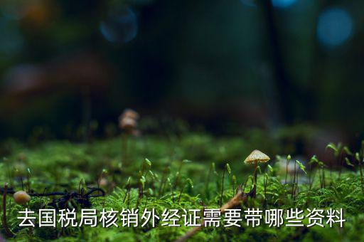 核銷外經(jīng)證地稅那做什么，去國稅局核銷外經(jīng)證需要帶哪些資料