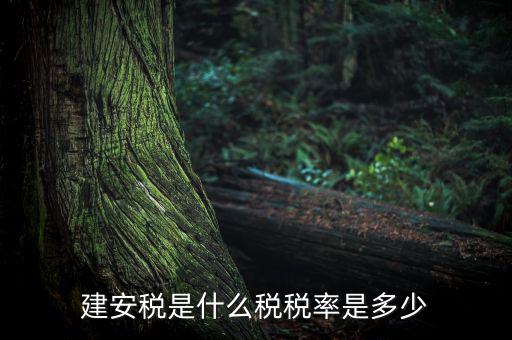 建安稅按什么征，營(yíng)改增后建安稅稅種稅率有哪些