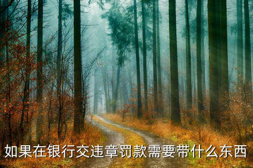 銀行端查詢繳款需帶什么，銀行端查詢繳稅業(yè)務(wù)如何辦理