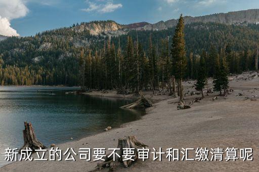 匯繳清算是什么意思，交清和繳清是一個(gè)意思嗎