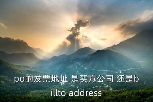 po的發(fā)票地址 是買(mǎi)方公司 還是billto address