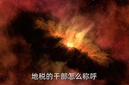 地稅局所長是什么級別，內蒙古副廳級干部和內蒙古地稅局副局長級哪個官位大