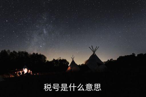 金稅盤企業(yè)稅號是什么意思，公司稅號是什么