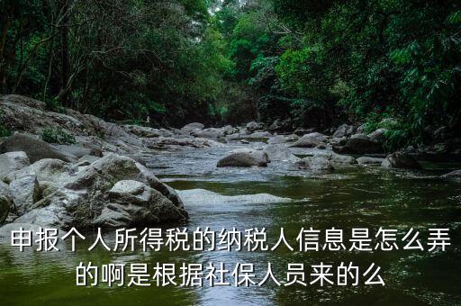 納稅人信息包括什么，申報個人所得稅的納稅人信息是怎么弄的啊是根據(jù)社保人員來的么