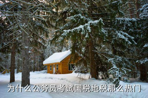 為什么報(bào)考地稅局，為什么公務(wù)員考試國稅地稅那么熱門