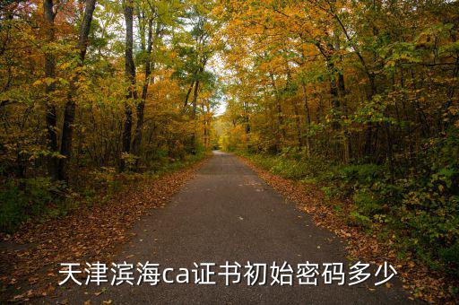 天津ca密碼是什么意思，天津社?？ǔ跏济艽a是多少啊 我是中國(guó)銀行的